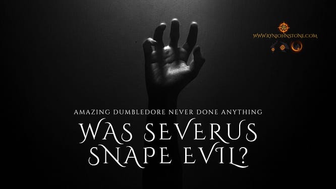 Was Severus Snape Evil Amazing Dumbledore Never Done Anything