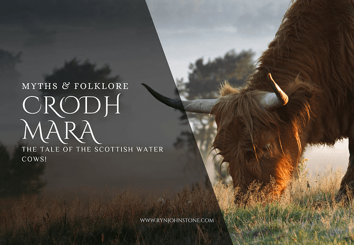 Crodh Mara: The Tale Of The Scottish Water Cows!